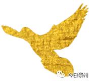 崇州的新变化,崇州体育发展