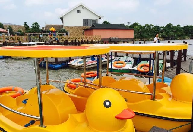 松江区比较好的酒店,上海松江高档温泉酒店