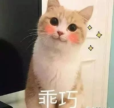 东莞幼儿园都有哪些,东莞哪里幼儿园好