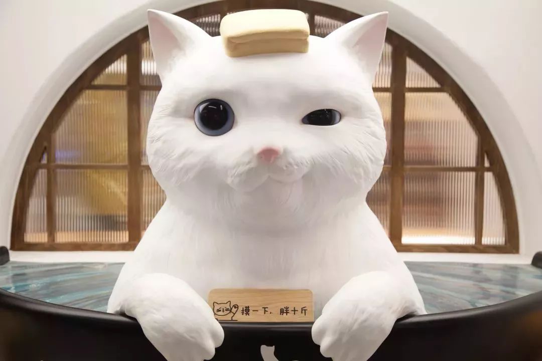 mark住了,十一月必吃餐厅推荐