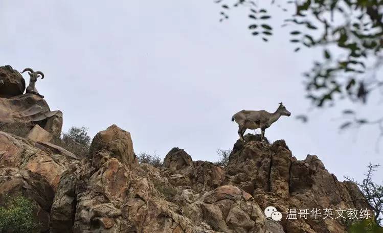 tony带你去看房,和tony学英语