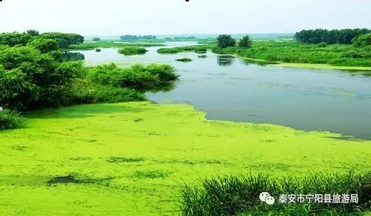 宁阳景区推荐,宁阳八大景区都有哪些