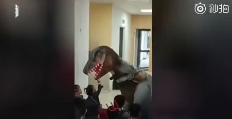 劝不听！南宁一小区业主花园“圈地”养猪，熏坏楼上住户｜下午来切咧