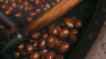 吃栗子多了会恶心反胃吗,吃栗子导致反酸水