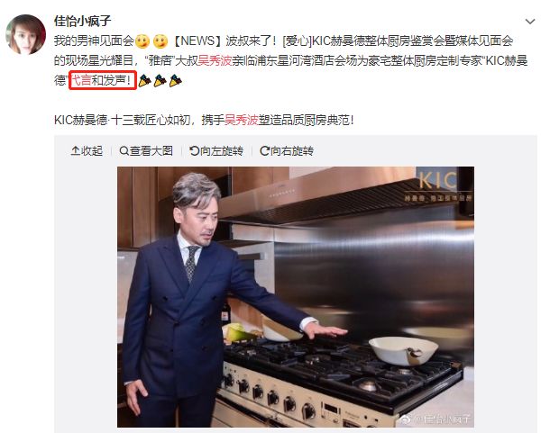 吴秀波小三被抓,吴秀波的女友被判几年