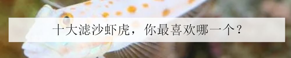 海水小百科—人字蝶