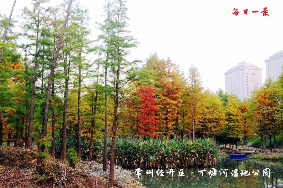 经开区丁堰人陈忠渭：20多年从一家濒临破产的乡镇小厂到主板上市企业，神力电机不断刷新发展纪录！