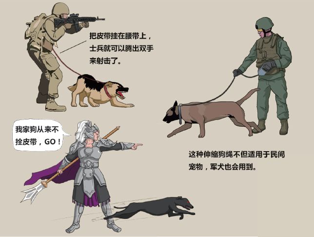 人类最忠实的伙伴——进击的军犬