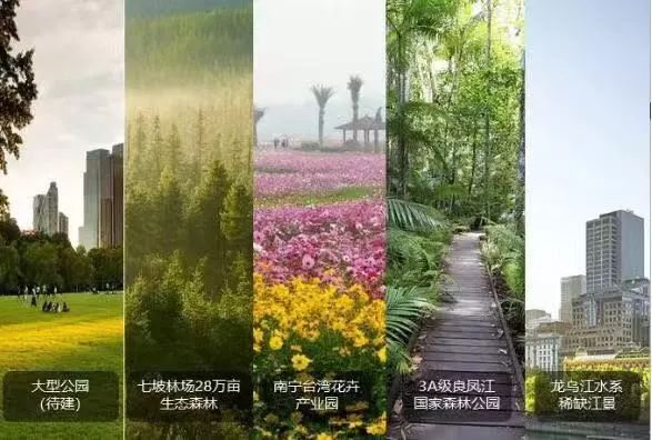 网友曝光楼盘事件,别人造谣说买的楼盘烂尾