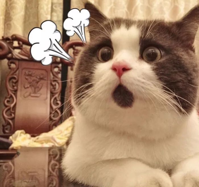 手脚共戴8块名表!留学生带35万奢侈品入境,涉嫌偷*税逃**款10余万