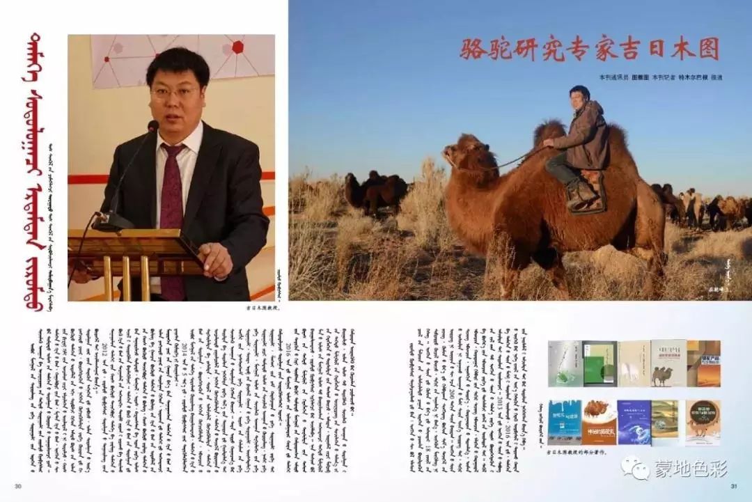骆驼研究专家吉日木图