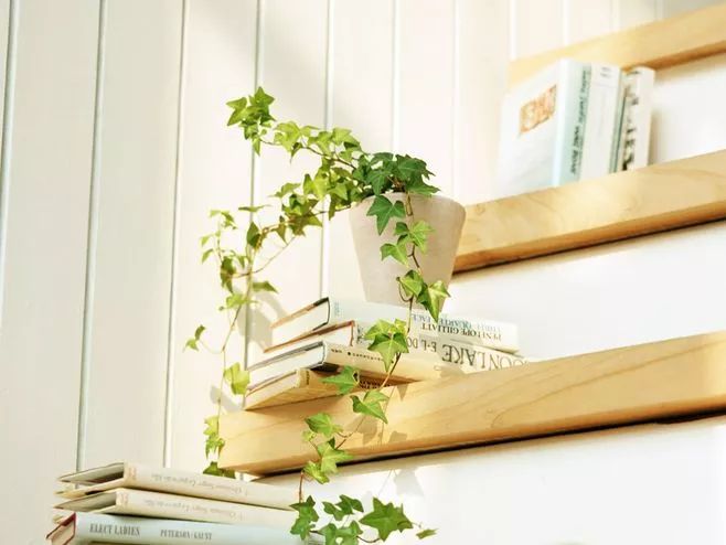 给你英文为什么不用giveyou,给你不是giveyou这是中式英语