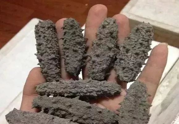 青岛的海参好还是大连的海参好,大连海参怎么买才正确