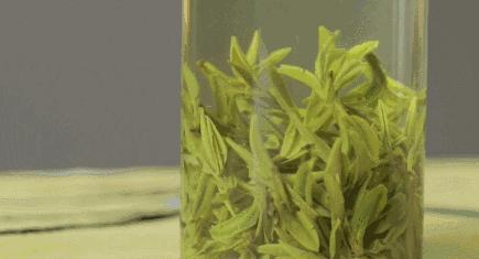 龙井茶每日一茶,龙井茶一天中最佳饮茶时间