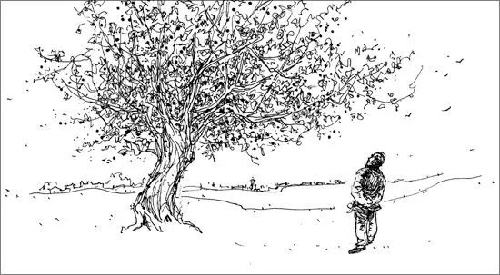 父亲的病我的思考,父亲的死因另有隐情