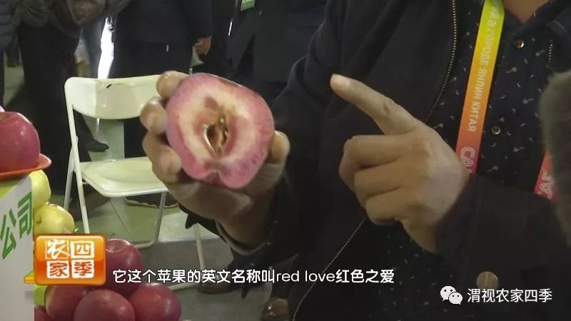 小罗带你逛超市,小罗带你走进水果基地