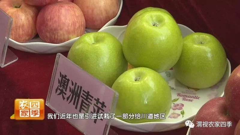 小罗带你逛超市,小罗带你走进水果基地