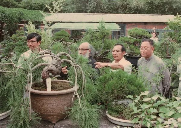 被误读的李白,被误读的古诗句