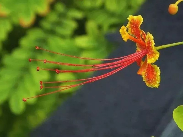 珠海海滨公园值得去吗,珠海旅游攻略海滨公园路线