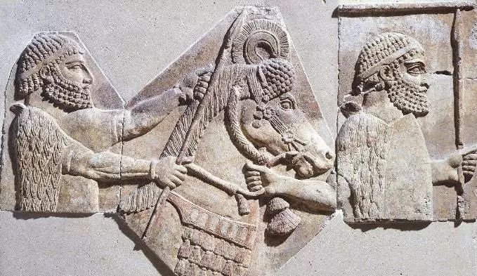 古代文明的起源及类型:有点讽刺,文明始于奴役及不平等