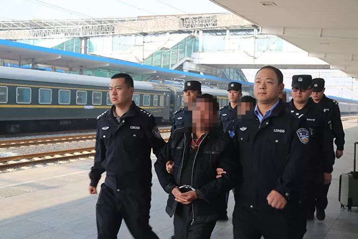 双11包裹没收到怎么办,双十一包裹还没到吗