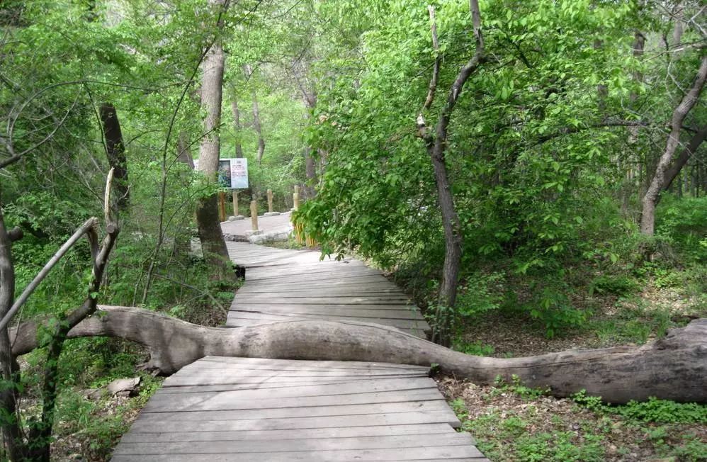 关于改革印记的文章,通辽的旅游发展现状