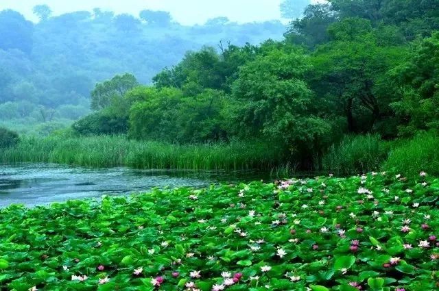 关于改革印记的文章,通辽的旅游发展现状