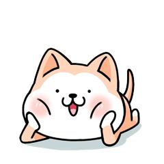 连阿里巴巴都点名！拿奖拿到手软的“葡萄王”来了~入园采摘，尽享千元农家菜