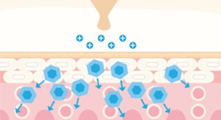 皮肤清洁出黑色的东西,皮肤挤出白色膏状很臭怎么办