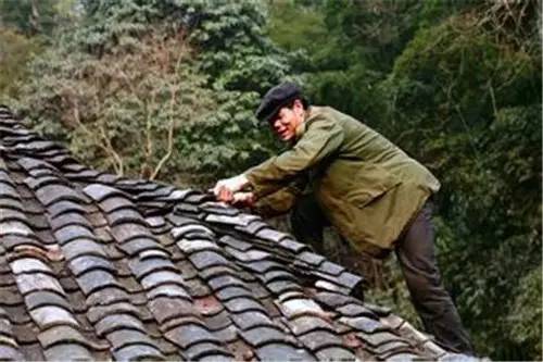 农村将消失的4种行当,农村正在消失的老物种