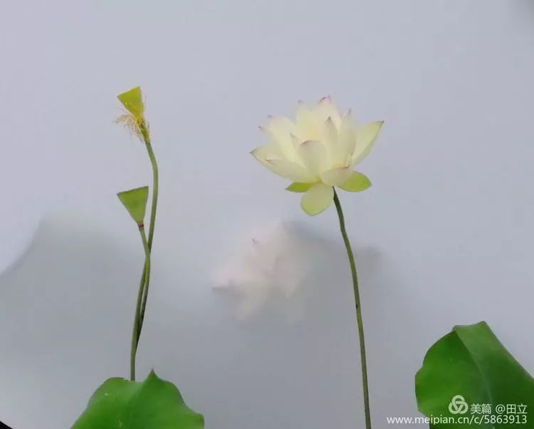 「荐读」名贤集值得一读