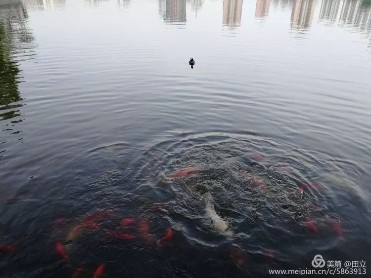 「荐读」名贤集值得一读