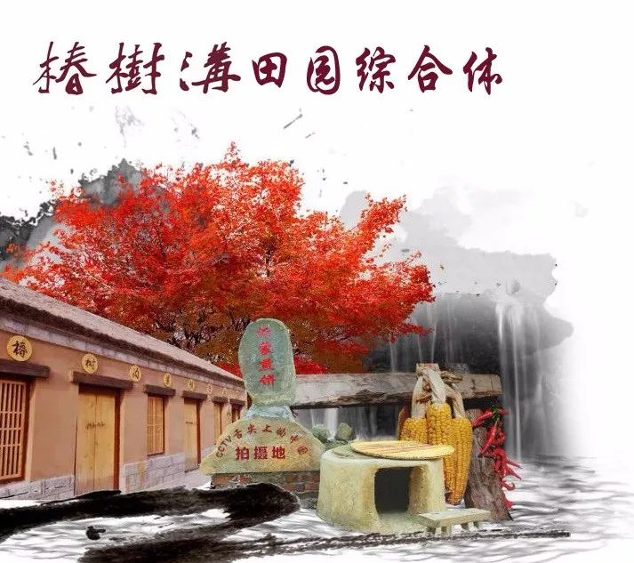 临沂田园综合体,临沂沂南田园综合体名单