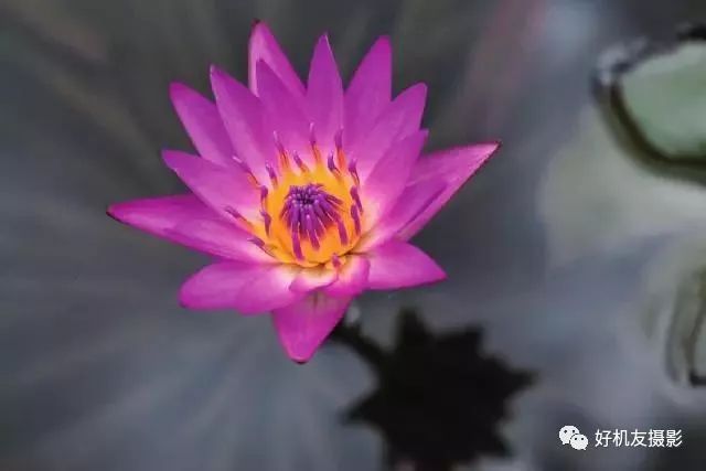 摄影光圈的基本理论,摄影常识光圈快门感光度