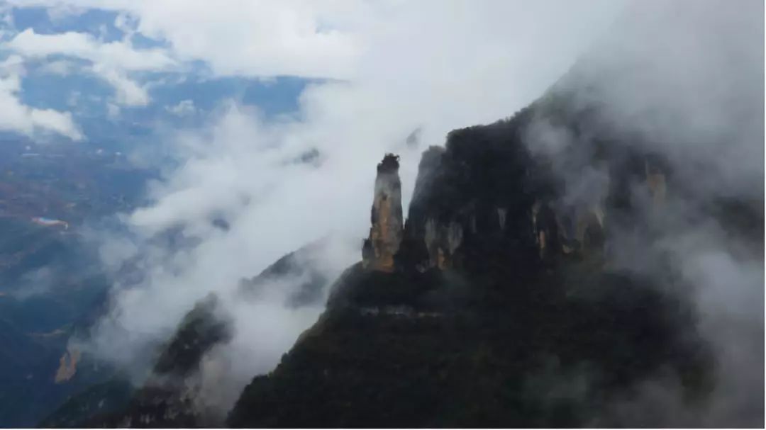 “百万大咖走三峡，当红主播秀红叶”，即将揭开巫山的“盛世美颜”