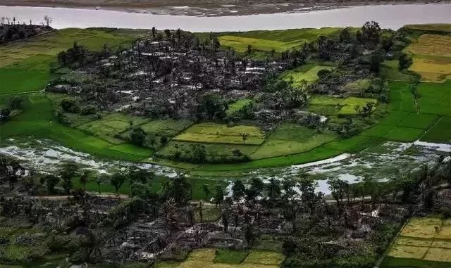 普利策奖饥饿的小孩,饥饿女孩