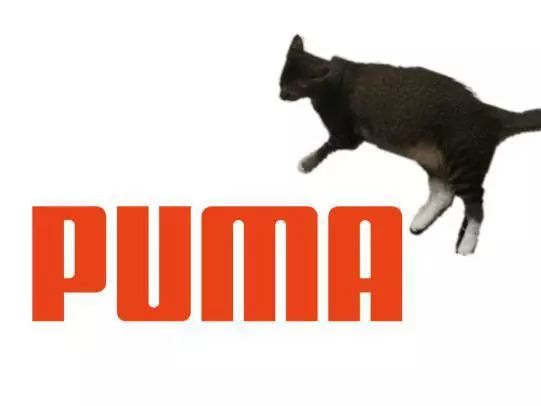 萌爪神吐槽馆,说你想说的