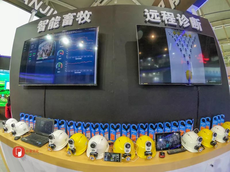 「文明旅游」未来农业应该是啥样？｜快来看全国新农民新技术创业创新博览会