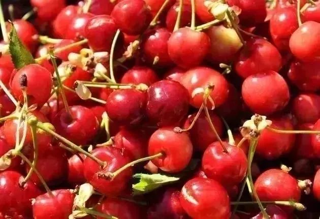 很多人被这8个*局骗**泄露了个人信息，却不知道……