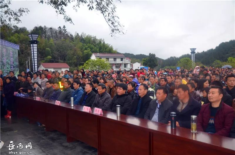 第一届油茶节,成功举办首届油茶节