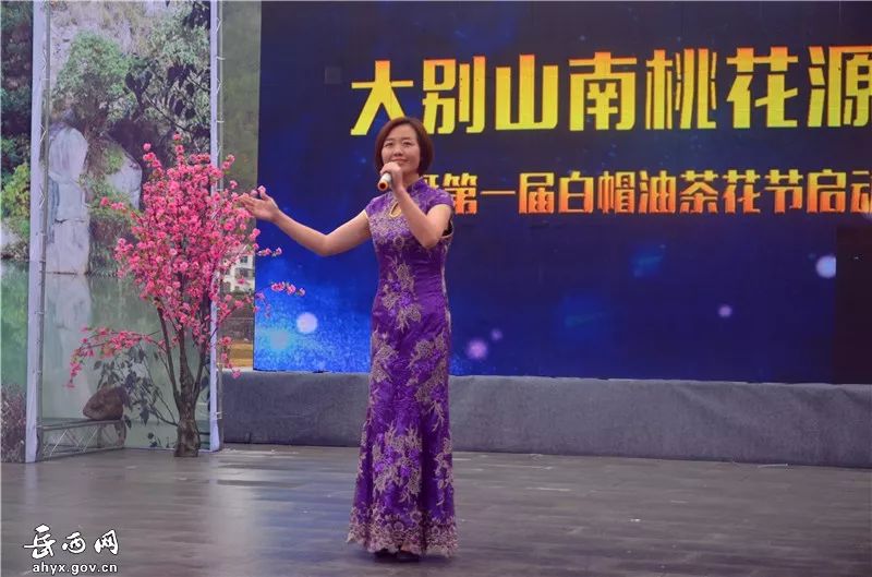 第一届油茶节,成功举办首届油茶节