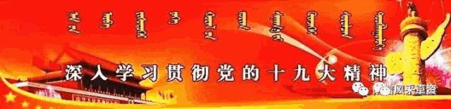 【诗词】梅园诗社“情系河山”集锦