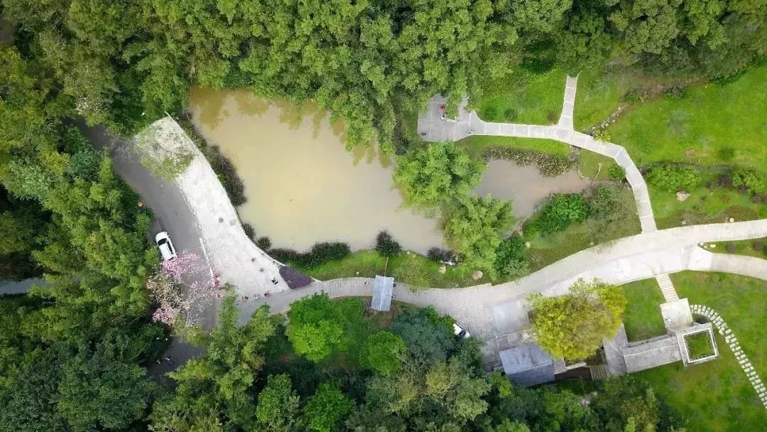 「信息速递」请为他们打Call!超2000人徒步50公里，只为做这一件事……