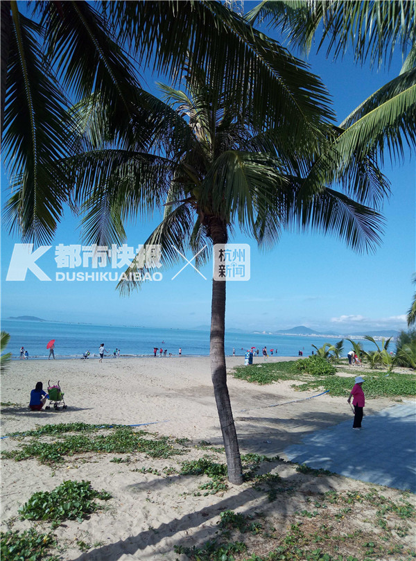 外地人去海南过冬攻略,去海南过冬清单