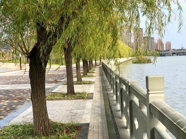 宁波滨江公园景点,宁波桥南景观公园