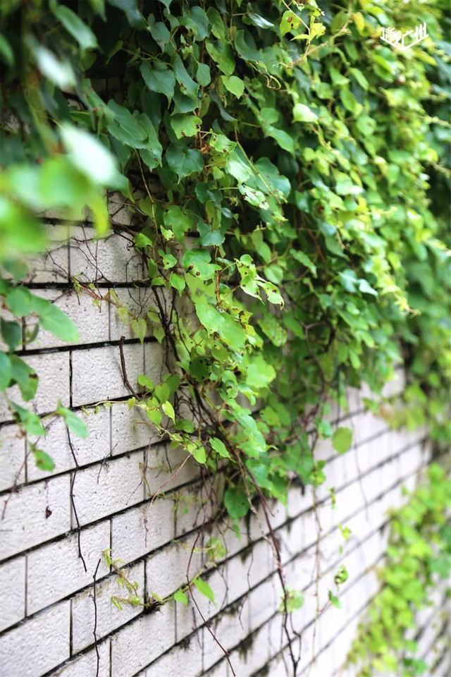 越秀华侨新村二期,广州越秀区生活的真实感受