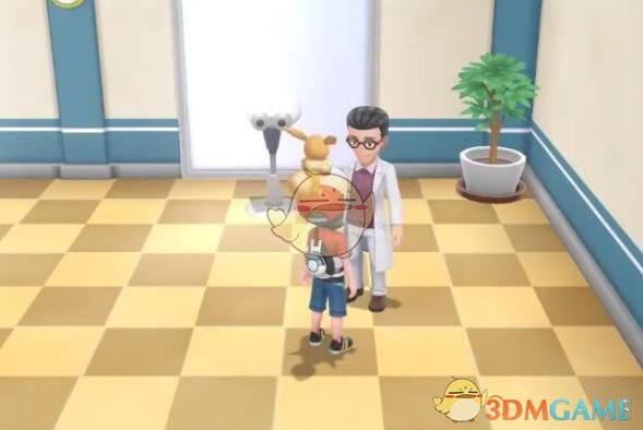 精灵宝可梦皮卡丘伊布PVP攻略,宝可梦皮卡丘和伊布攻略