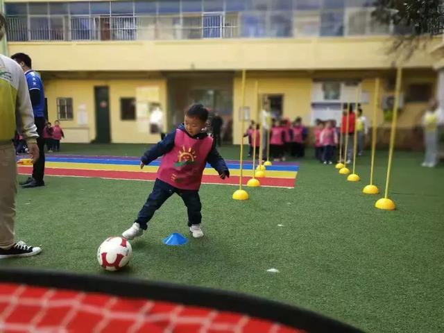 信阳市农业嘉年华,信阳阳光雨露平桥