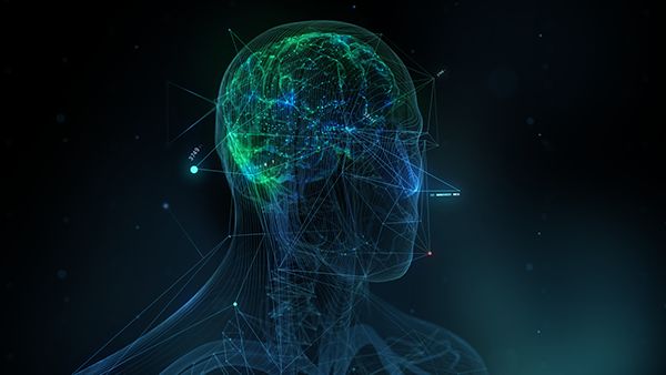 学习中最重要的是遗忘？新理论将揭秘机器学习神秘面纱