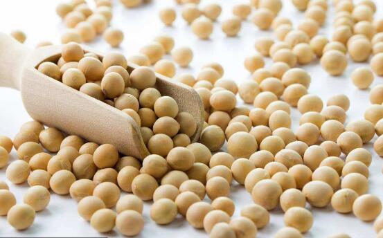 未来十年农业种什么最赚钱,现在种植农作物什么最赚钱